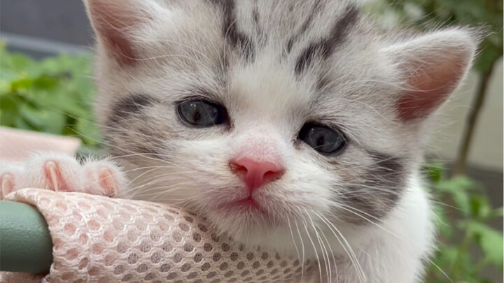 A childhood without being constantly nagged to eat and do homework must be a happy one.