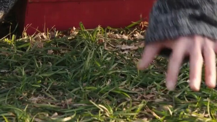 Lin Huan’er: Kenapa nggak bilang dari tadi! # Cinta Mendadak # Wang Yuwen # Chen Xingxu