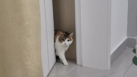How can this door attack me?