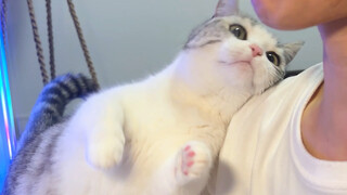 With a kitty like this, who needs a girlfriend?