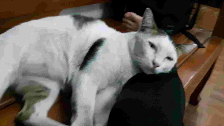 พี่แต้ม ep.2