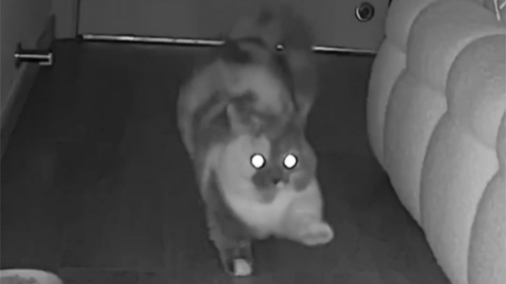 Aku ketahuan gemas diam-diam, kan?