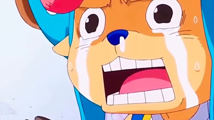 Sanji: Chopper, in front of a dream that is within reach, instead of giving up the dream and living 