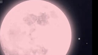 The you&me stage background that everyone wants is here!