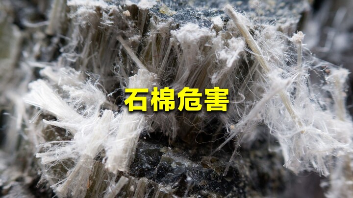 Tại sao tấm lợp amiăng dùng trong xây dựng nhà ở nông thôn lại bị nhiều quốc gia cấm sử dụng? Tác hạ