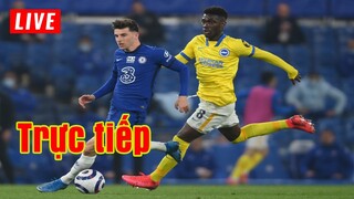 🔴 Trực tiếp Chelsea v Brighton | Vòng 20 Premier League