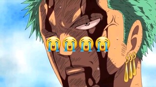 zoro emang kru paling setia sama si luffy. respeck bang zoro😭😭