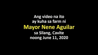 Archives Super Striker Nene Aguilar June2020