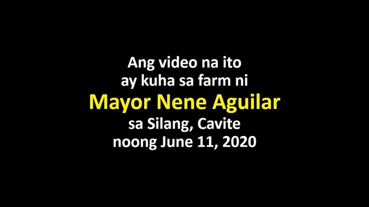 Archives Super Striker Nene Aguilar June2020