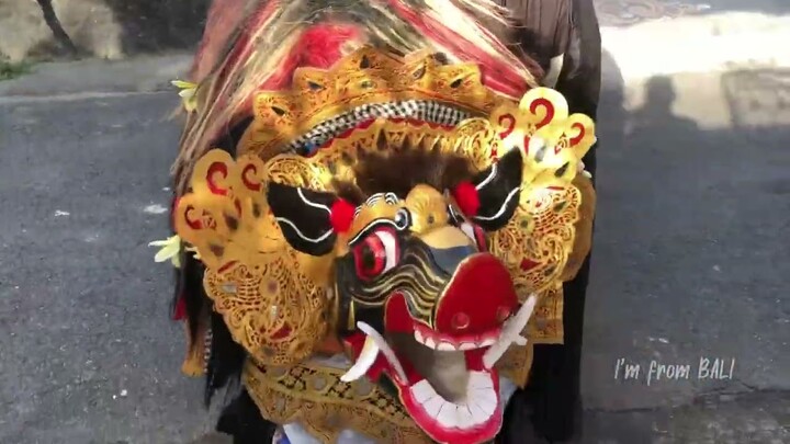 PARA BOCIL NGELAWANG!! PENAMPAHAN KUNINGAN - KEBESARAN BARONG
