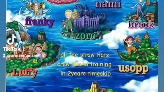 one piece 2 years timeskip
