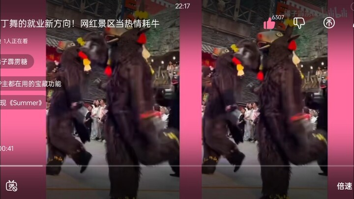 拉丁舞的就业新方向！在网红景区里当热情耗牛