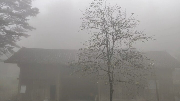 ในดินแดนภูเขาอันห่างไกลไร้สัญญาณอินเทอร์เน็ต ฤดูใบไม้ร่วงเก็บเกาลัดป่าประทังชีวิต