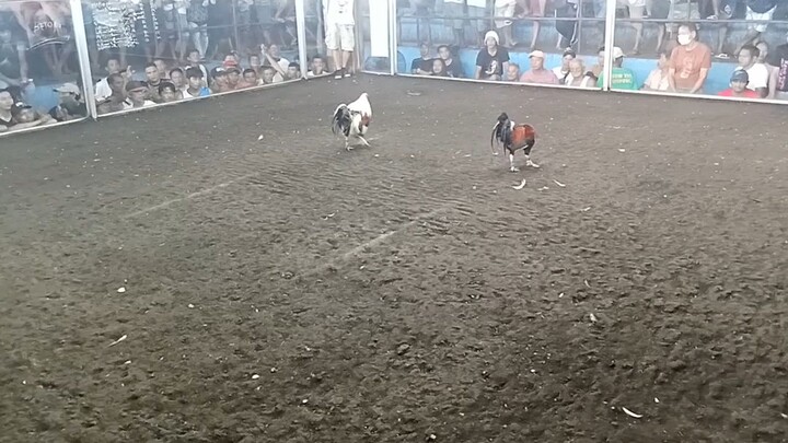 nakachamva tayu sa superstar..