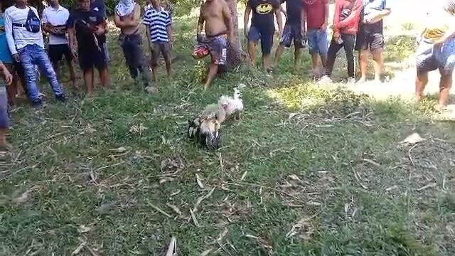 talisayin vs bangkas , talisayin win, naunahan buti nalang fatal ang bawi