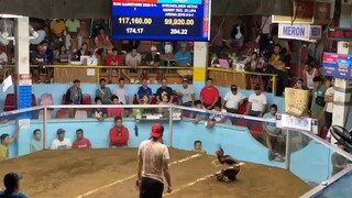 RVM GF Last fight Lipa Batangas walang sugat fastest kill (JnJ Apuk GF)