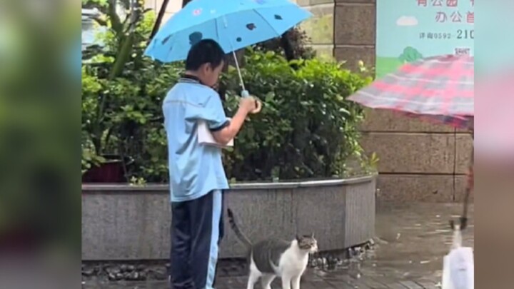 “这一刻它一定很幸福吧...”