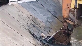 Your arm hook technique is pretty good!