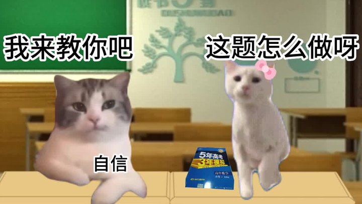 The Daily Life of a Cat Secretly in Love (Campus Edition)