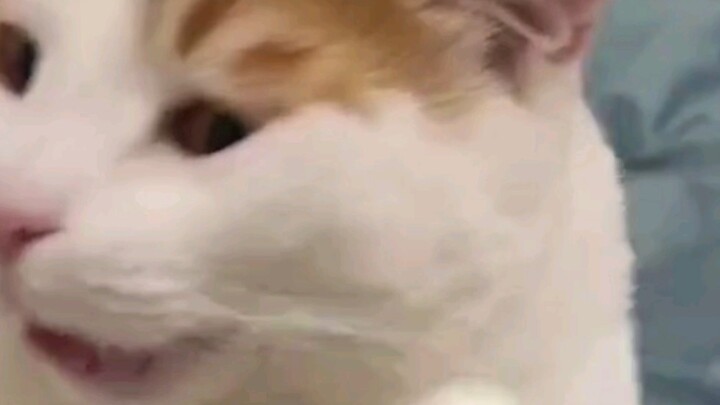 เขาต้องได้ยินข่าว