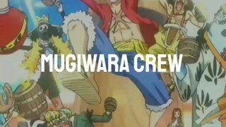 Mugiwara crew