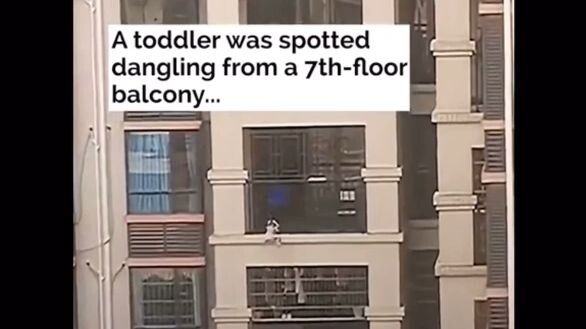 Babies are absolutely stupid
