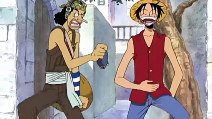 Usopp: Regarding the fact that I was defined as an idiot just by asking a question.