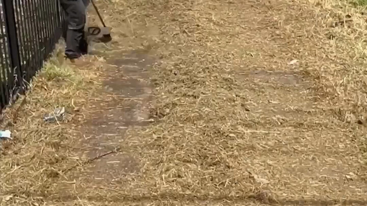 [Video Pelepas Stres Si Tomi Gendut] Karya terbaru saya, buruan tonton dulu!