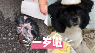 只道当时是寻常 祝大家端午安康