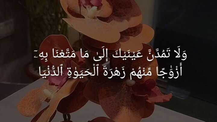 Do Not Look Longingly at What We Have Given Them | Surah Taha 20:131