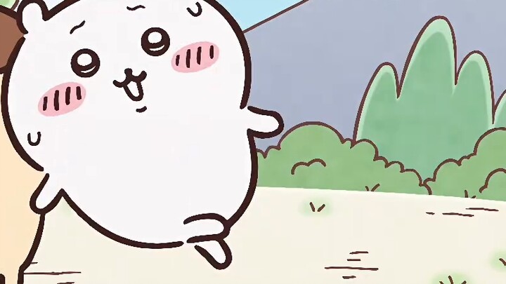 So cute, little Hachi, so cute｜Chiikawa Episode 40 Fold-eared little Hachi