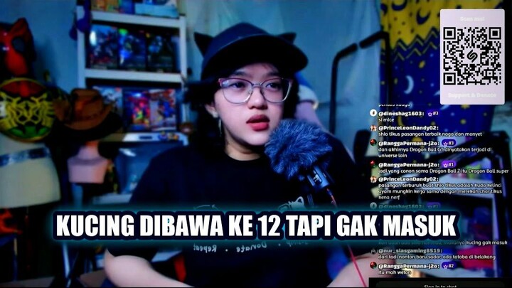 🤯 TERNYATA KUCING DIBAWA KE 12 TAPI GAK MASUK? RAHASIA DI BALIKNYA!