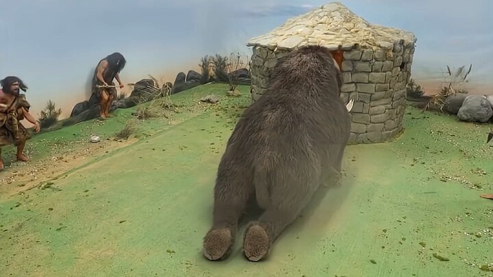 Primitive Hut vs. Caveman