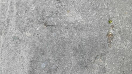 Làm thế nào để đối phó với những lá bài Yu-Gi-Oh giả?