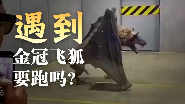 เมื่อเจอสถานการณ์เหล่านี้กลางแจ้ง ควรวิ่งหนีหรือหลบ? อย่าเลือกผิดเด็ดขาด!