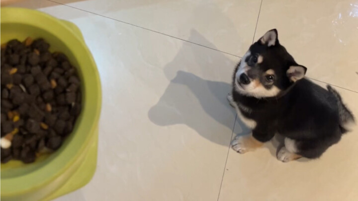 Tidak berisik, tidak menggigit, tidak memukul—hanya saja kaki terus saling bertukar posisi sendiri, 