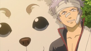 银魂：这一天银时竟然主动去交房租了
