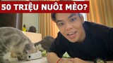 50 triệu nuôi mèo liệu có đủ? | Oops Banana Vlog 134