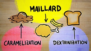 I FINALLY understand the Maillard reaction