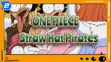 ONE PIECE|The Response of Straw Hat Pirates when they see the Beauty!_2