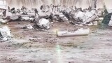 The Misfit of Demon King Academy EP11 english dubbed