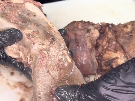 Can beef tongue really be eaten like this?