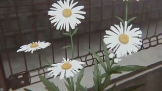 ｡:ﾟ(;´∩`;)ﾟ:｡