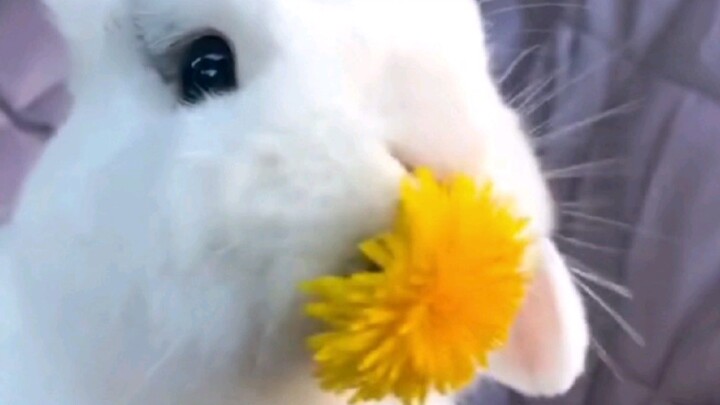 สูตรอาหารมหัศจรรย์ของตู้ตู้