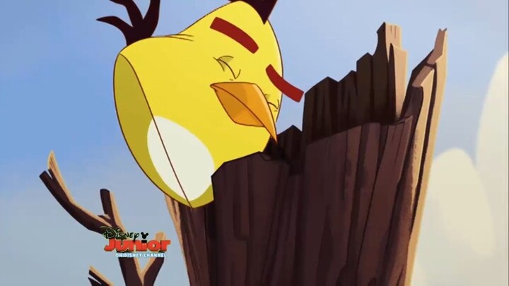 Angry Birds on Disney Junior on Disney Channel (July 18th, 2015)