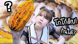 กิน "เม็ดโกโก้ดิบ" ครั้งแรก!  มันเป็นยังไง?