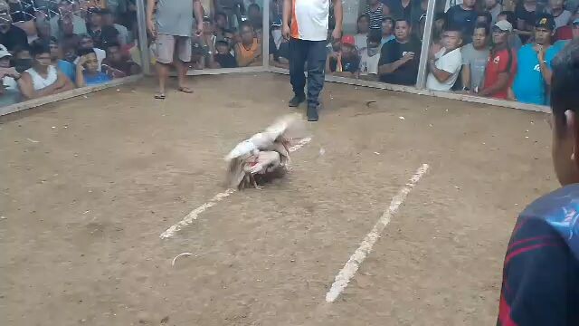 2nd fight, 2 hits ulutan. champion 🏆