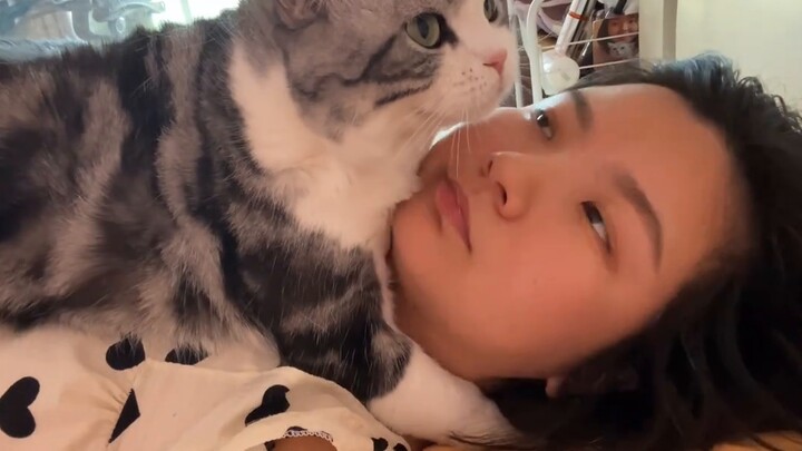 ทำไมแมวถึงชอบมากอดหัวฉันตอนเช้าๆ ล่ะ? เพราะฉันนอนนานเกินไปจนมันกลัวฉันรึเปล่า?