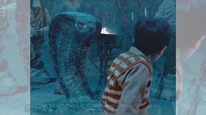 Review Phim: Giant Python