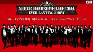 Super Handsome Festival 2014